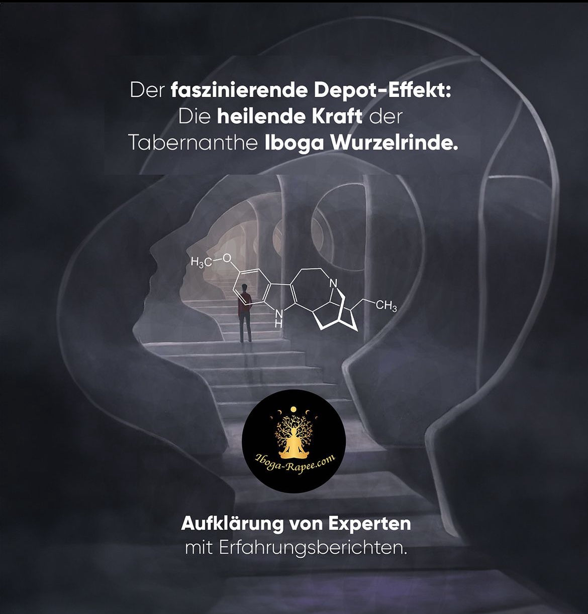 Der faszinierende Depot-Effekt von Iboga: Die heilende Kraft der Wurzelrinde