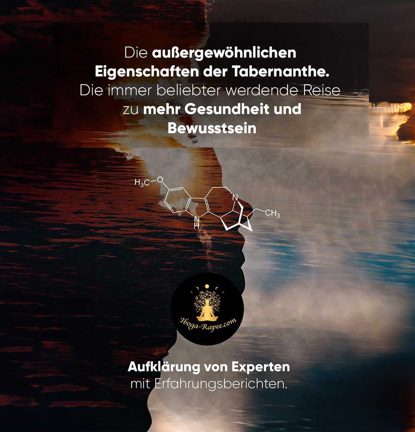 Die außergewöhnlichen Eigenschaften von Iboga: Eine Reise zu mehr Gesundheit und Bewusstsein