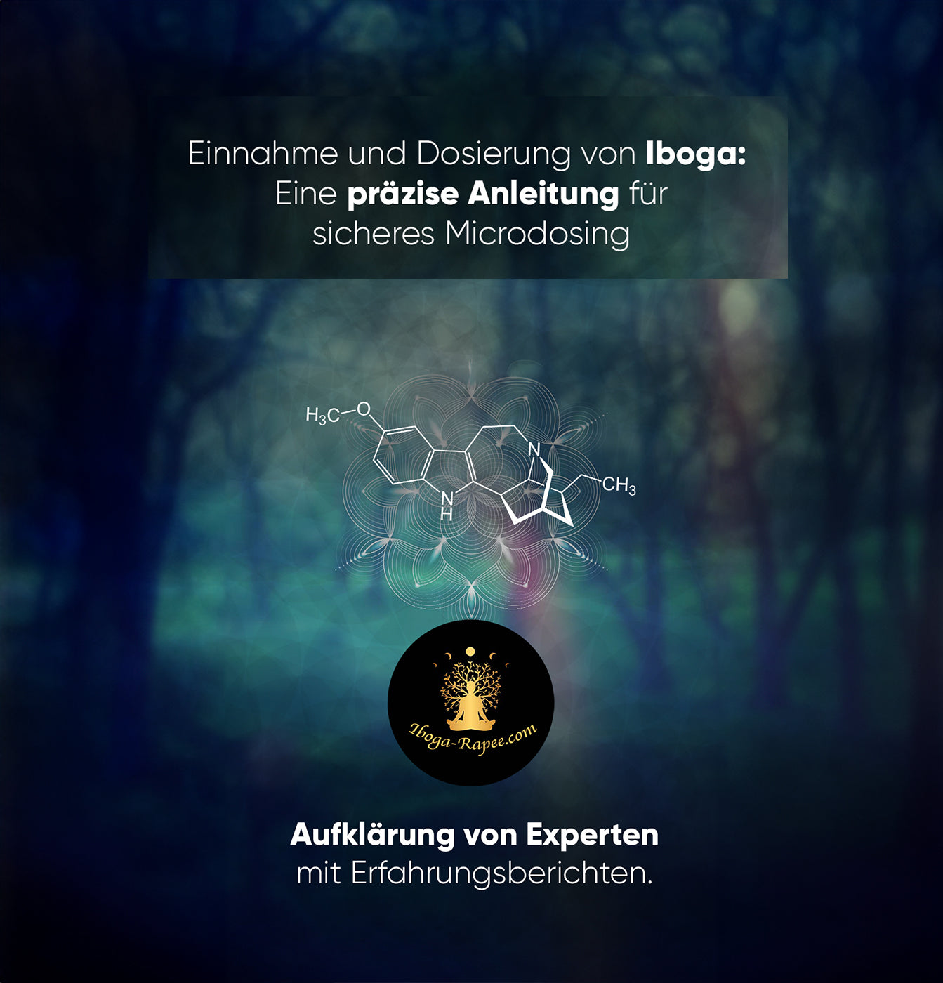Einnahme, Dosierung Iboga