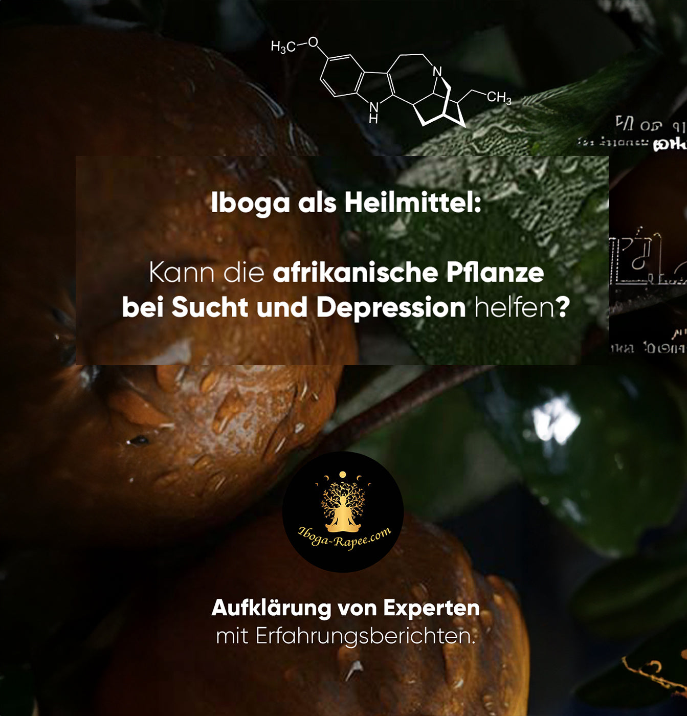 ibogain kaufen