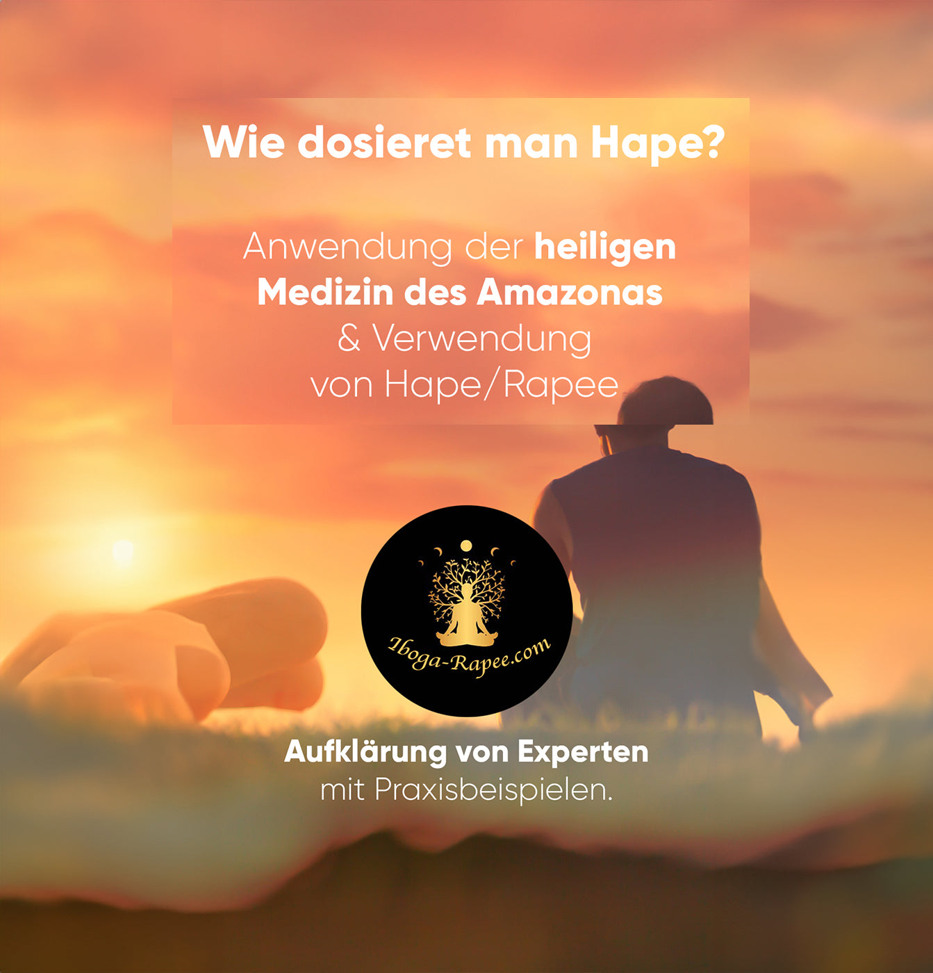 Rapee: Vorbereitung, Dosierung und bewusste Anwendung der heiligen Medizin des Amazonas & Verwendung von Rapee
