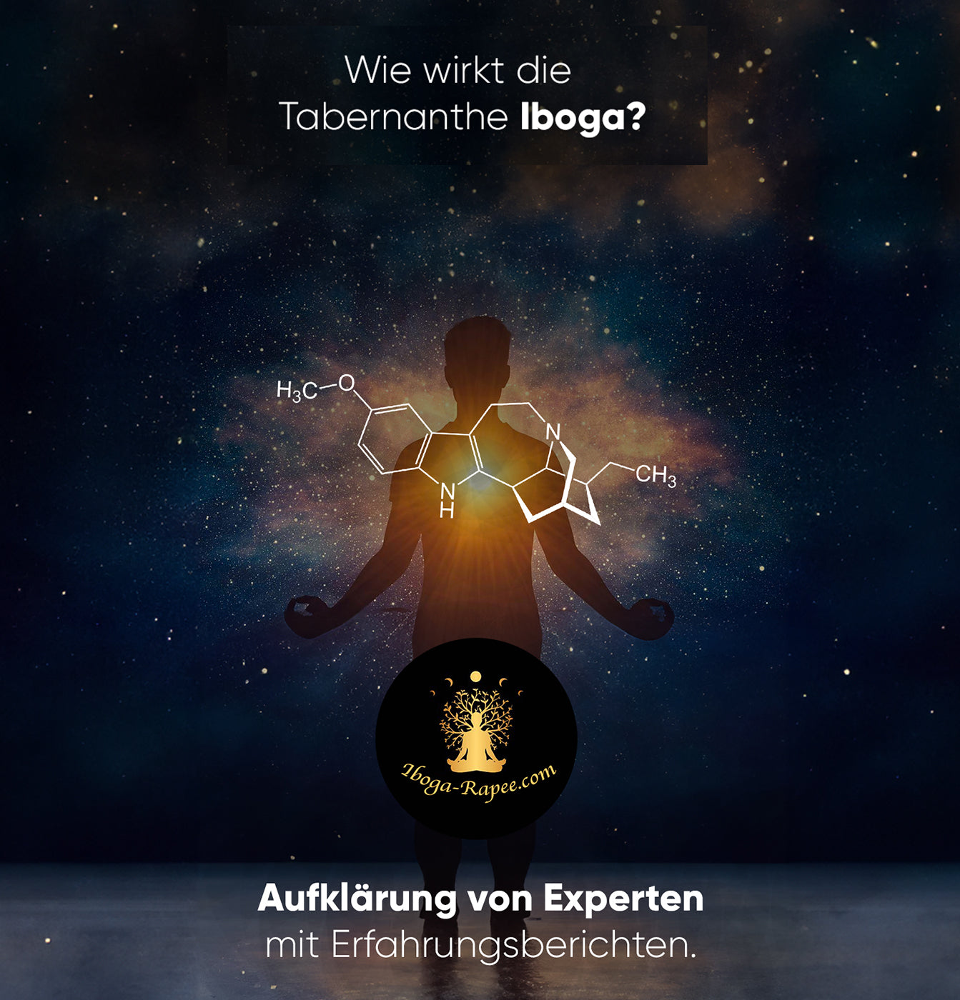 ibogain kaufen
