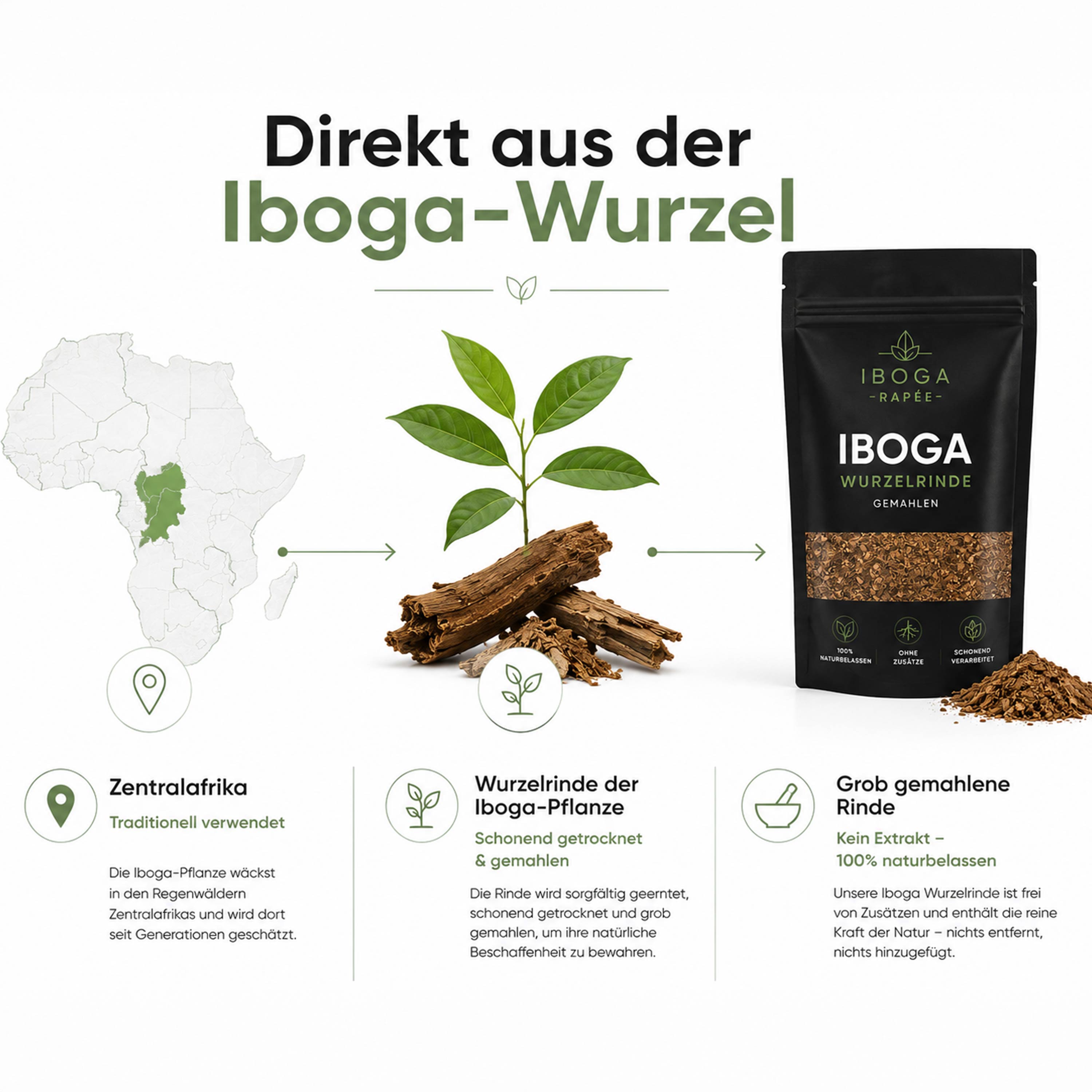 Iboga Wurzel Deutschland