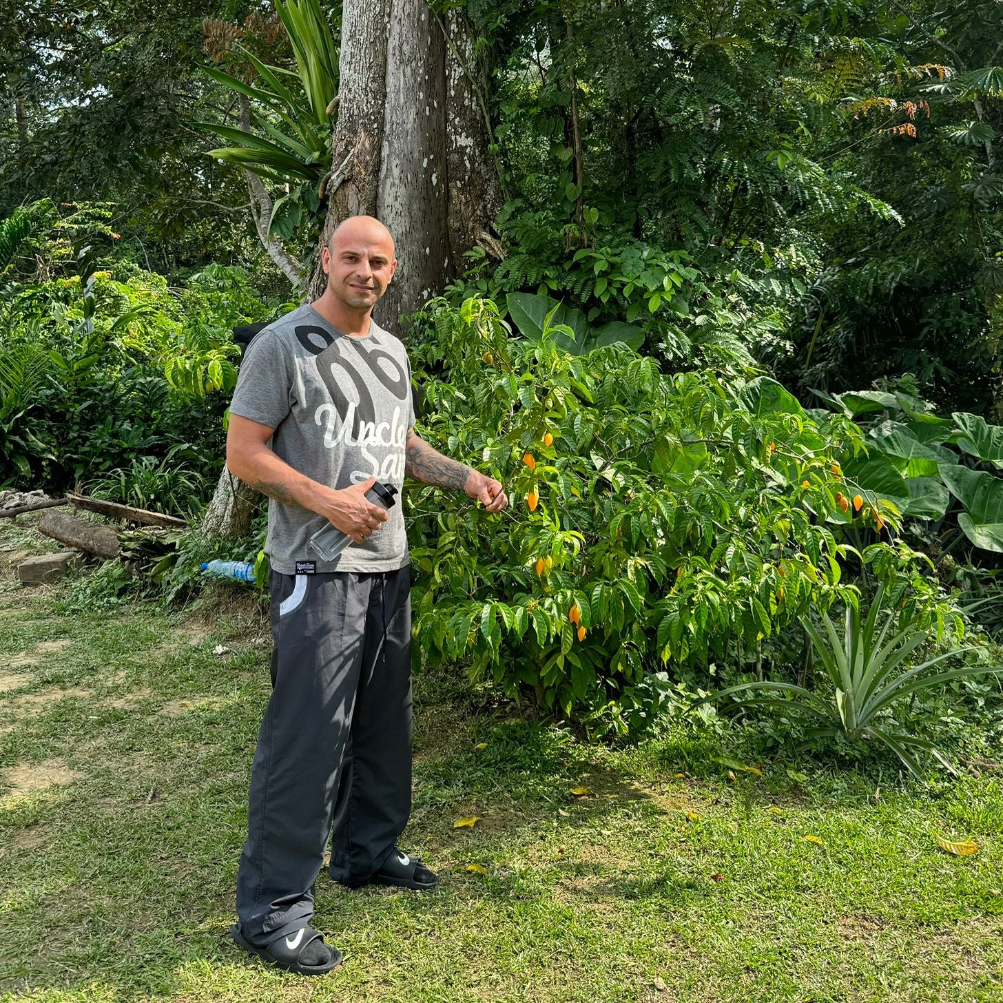 Kuripe Set mit Naturmaterialien