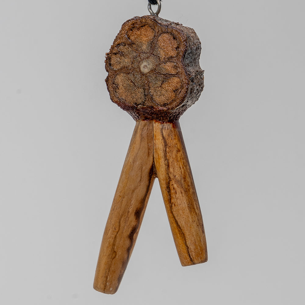 Kuripe – traditionelles schamanisches Reinigungsritual