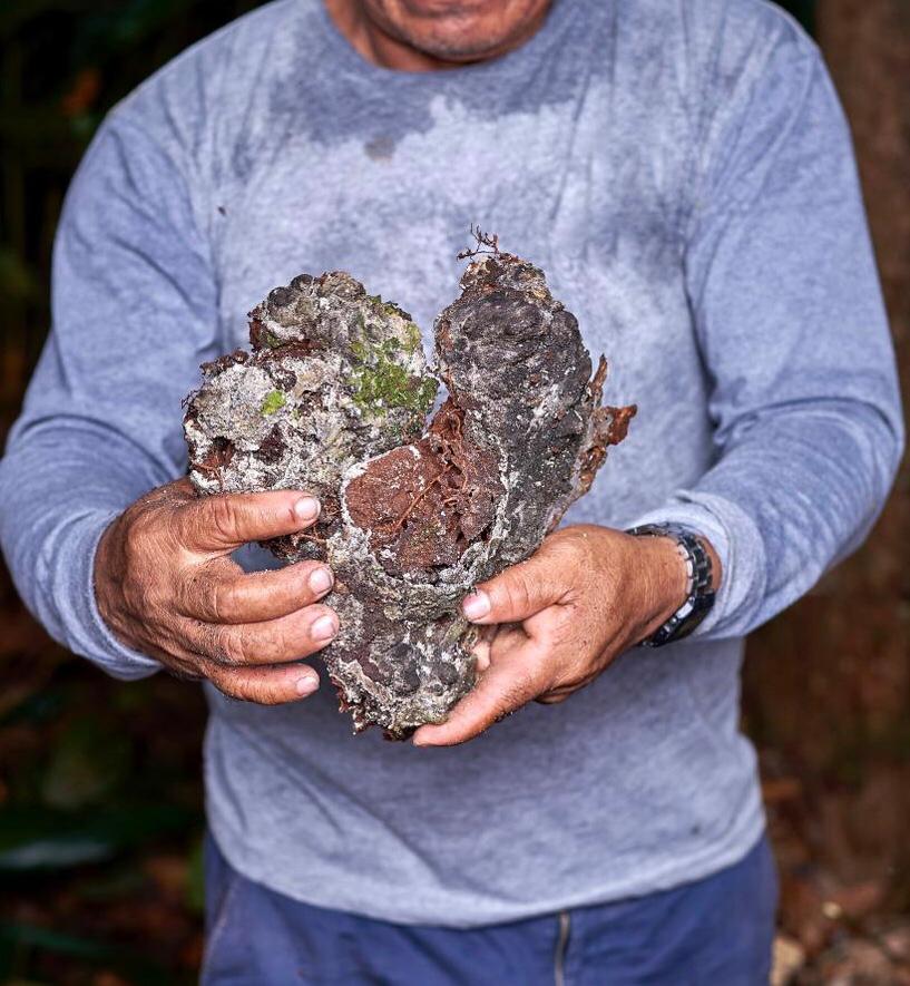 Schwarzer Copal Räucherharz aus Peru