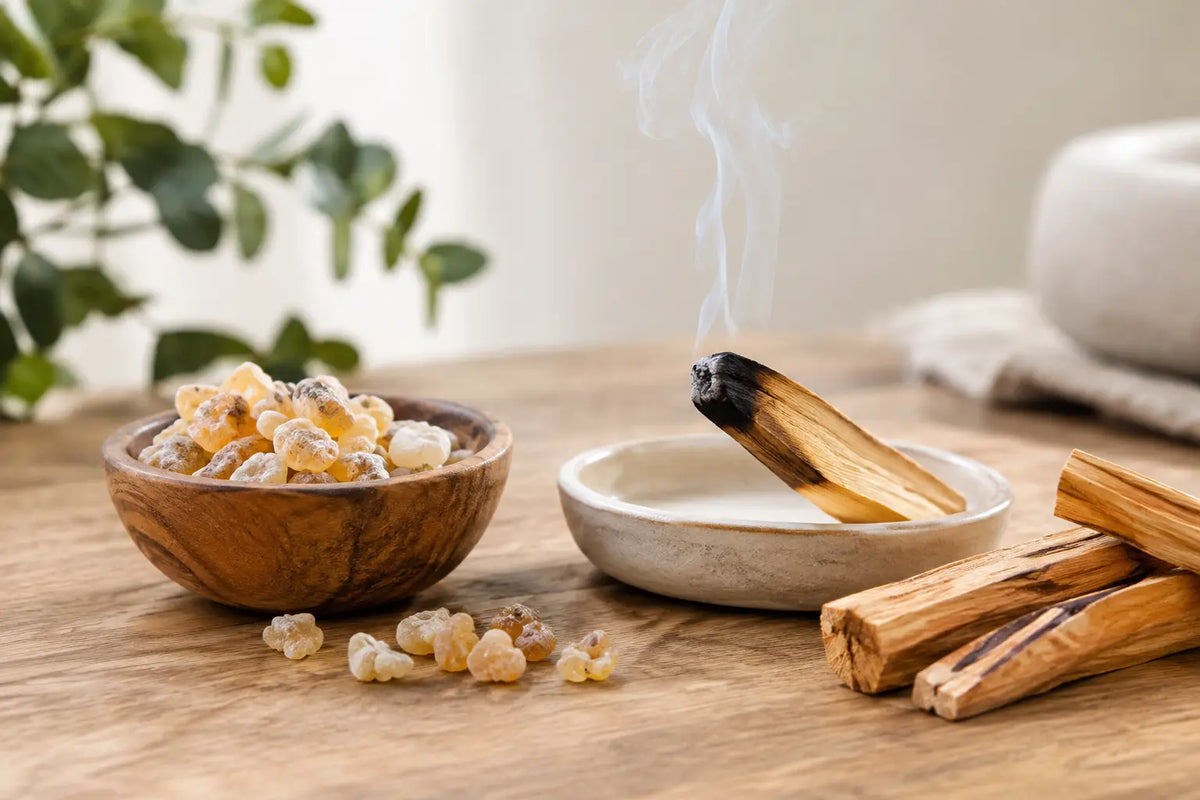 Copal oder Palo Santo für dein Reinigungsritual