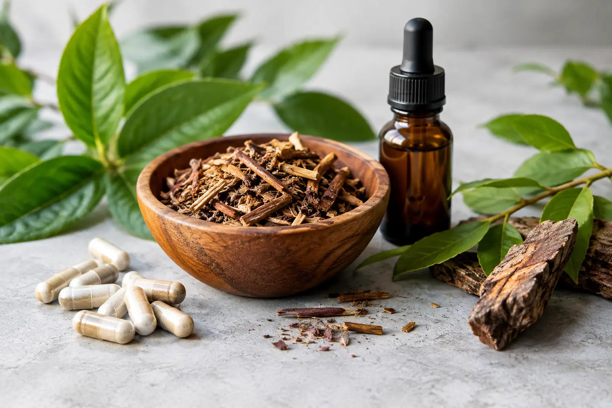 Beste Iboga Produkte für Erfahrene sicher wählen