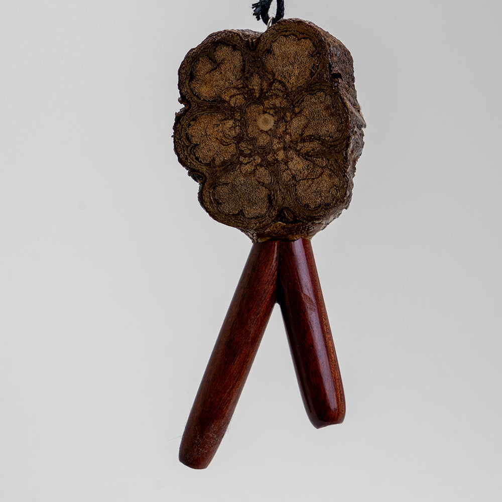 Kuripe groß aus Palisangre